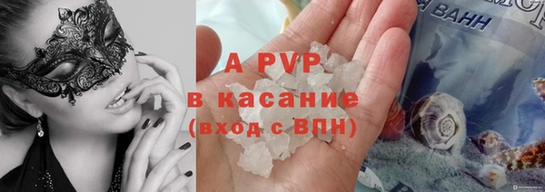 индика Белоозёрский