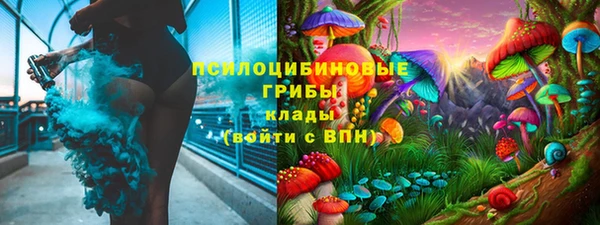индика Белоозёрский