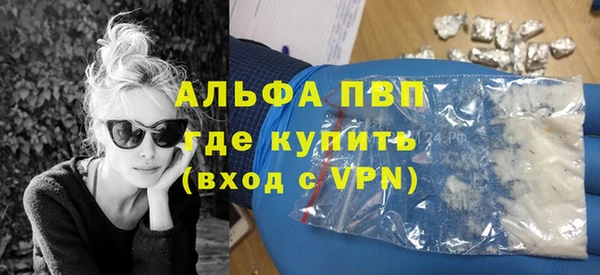 индика Белоозёрский