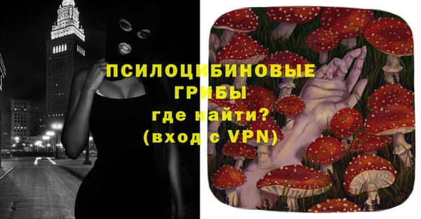 дурь Белокуриха