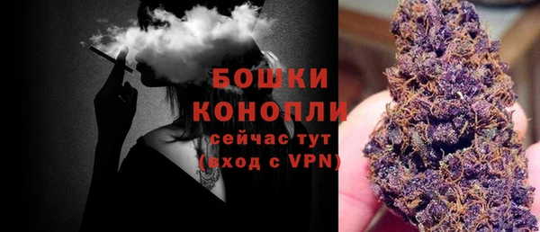 индика Белоозёрский