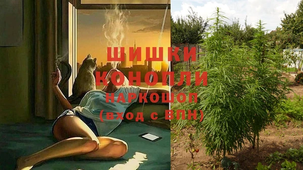 индика Белоозёрский