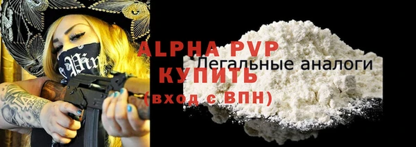 индика Белоозёрский