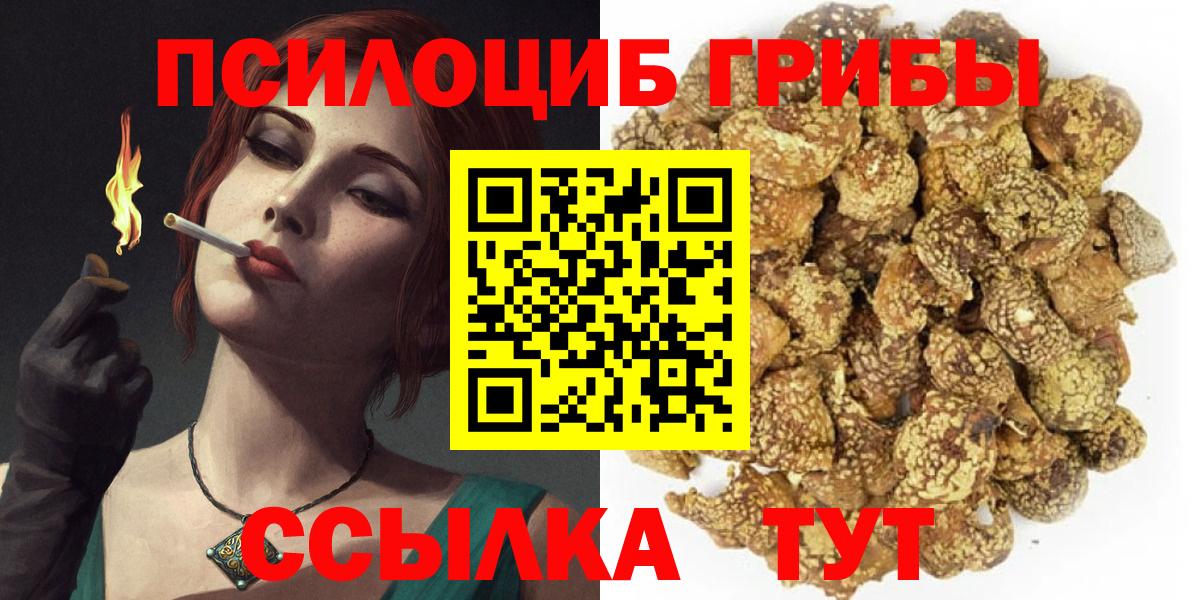 Псилоцибиновые грибы Psilocybe Вятские Поляны