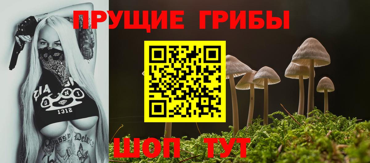 Псилоцибиновые грибы MAGIC MUSHROOMS  Вход с VPN  Псилоцибиновые грибы Cubensis  Вятские Поляны 